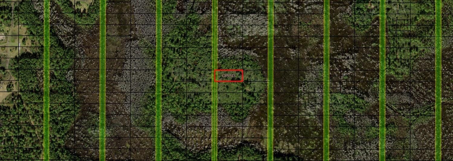 0 Old Grade Road, FL 33868 photo 1