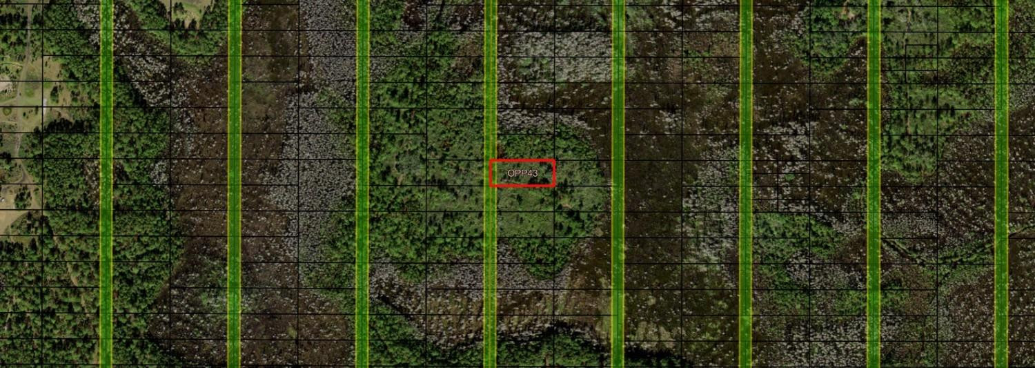 0 Old Grade Road, FL 33868, Polk City