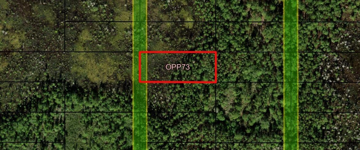 0 Old Grade Road, FL 33868, Polk City