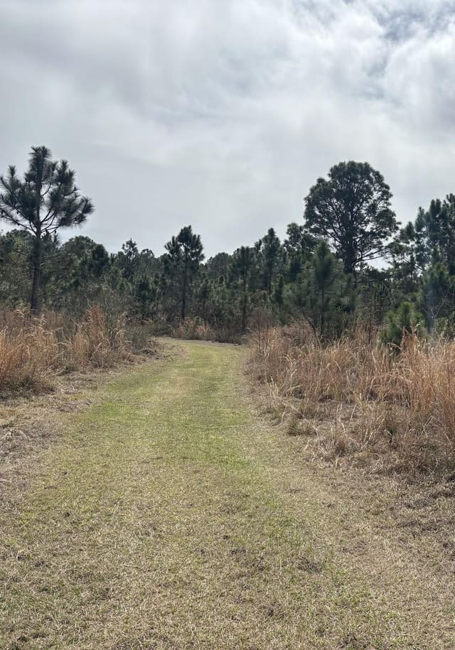 0 Old Grade Road, FL 33868