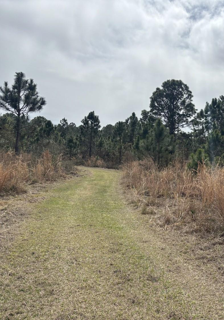 0 Old Grade Road, FL 33868, Polk City