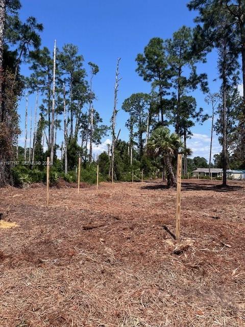 718 Columbus Avenue, Lehigh Acres, FL 33972