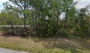 6182 N Buckland Drive, Citrus Springs, FL 34434, Citrus Springs
