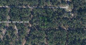 3215 Delafield, Lake Placid, FL 33852, Lake Placid