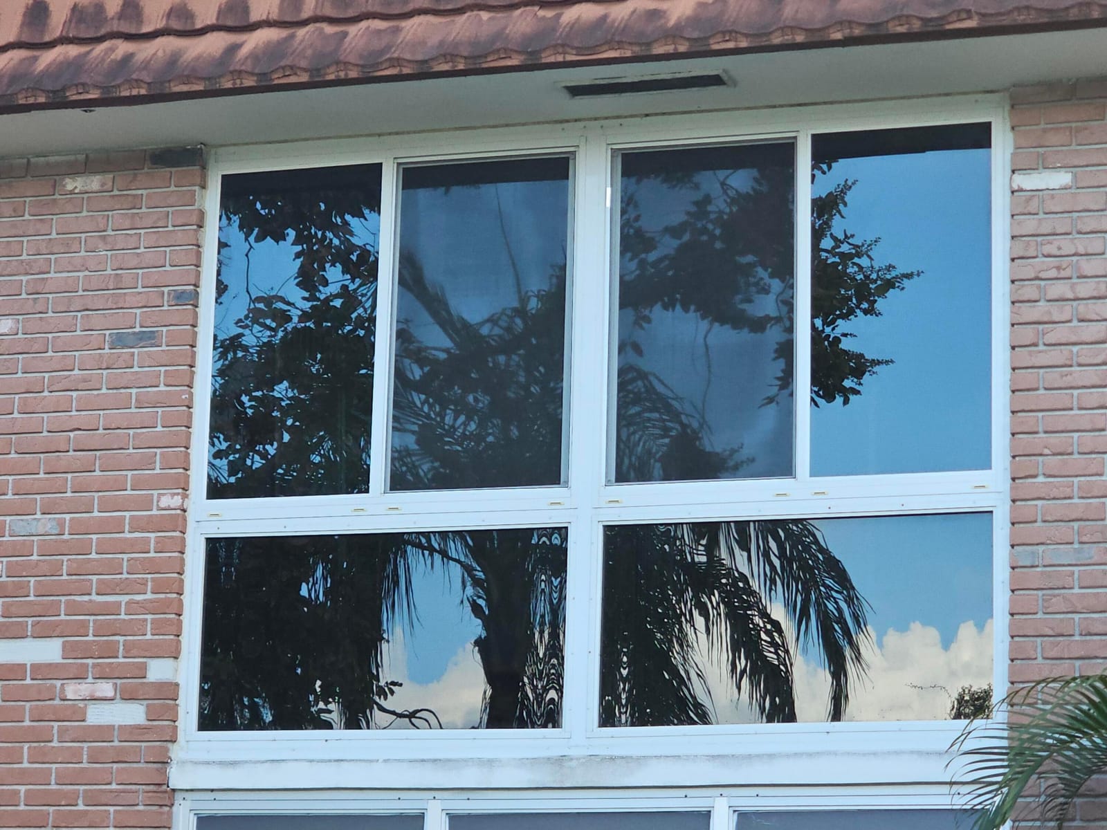 1225 NW 21st Street 19-1911, Stuart, FL 34994 photo 28