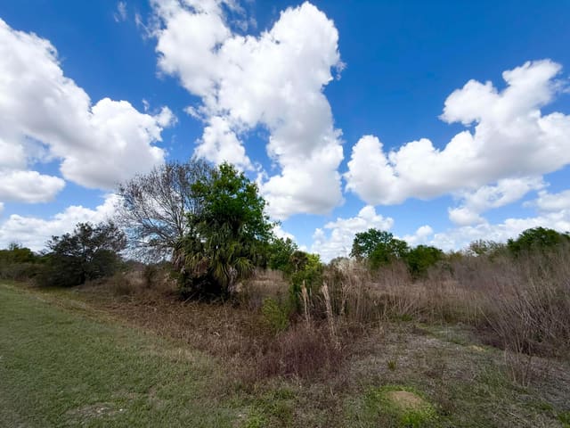19571 NW 262nd Street, sold in The Southern Colonization, Okeechobee, FL