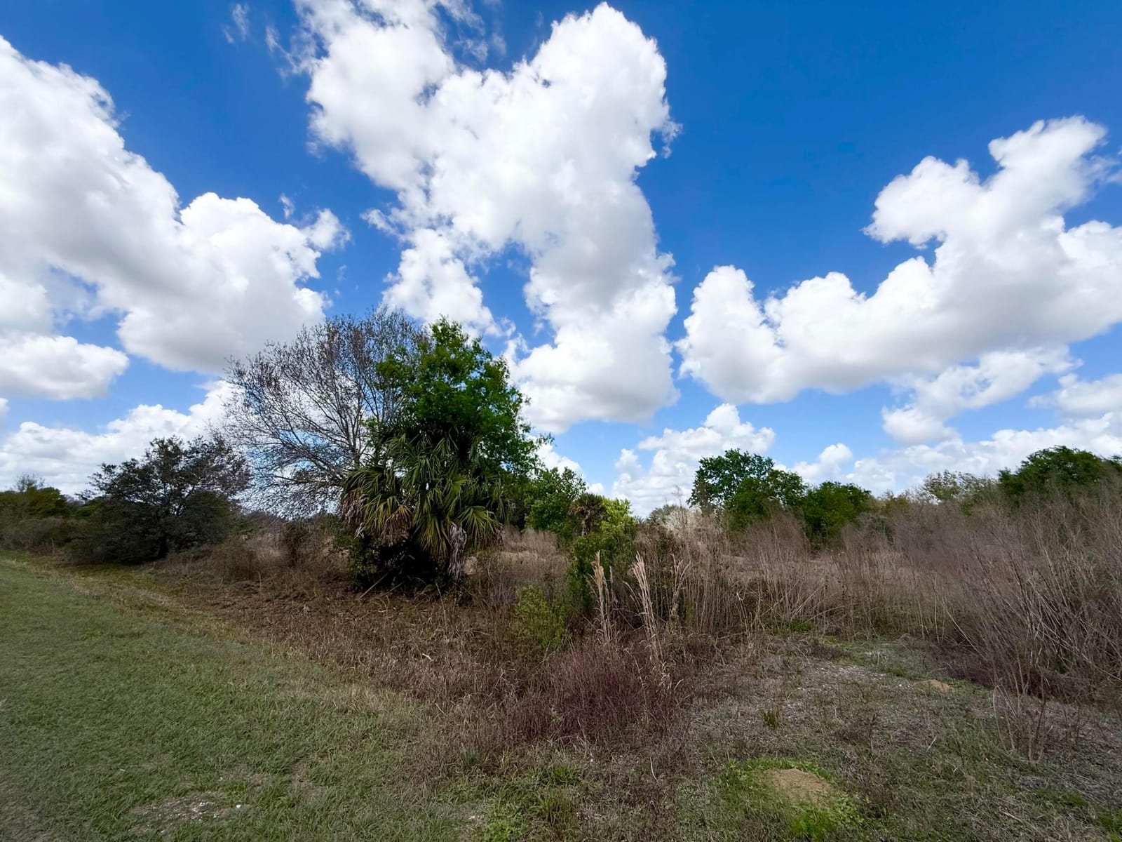 19571 NW 262nd Street, Okeechobee, FL 34972