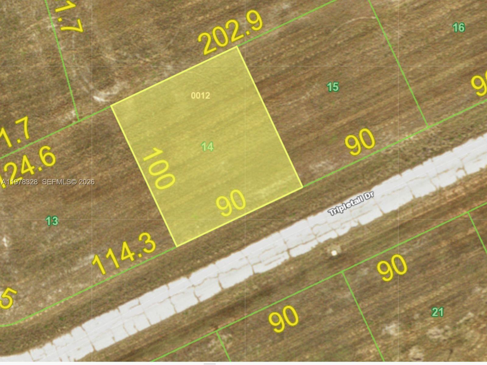 12394 Tripletail Drive, FL 33946, Placida