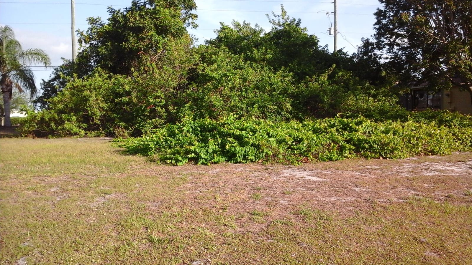306 Main Street, Sebastian, FL 32958