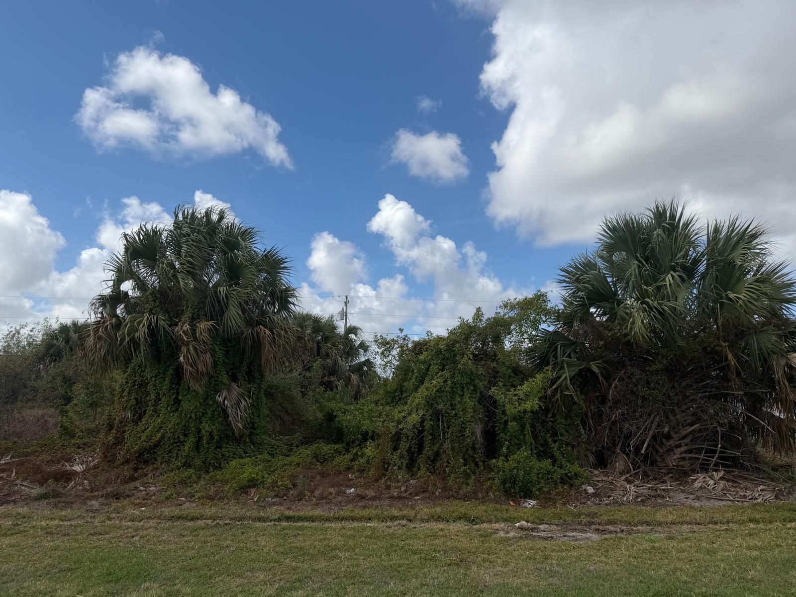 1658 SW Hampshire Lane, Port St. Lucie, FL 34953, Port St Lucie