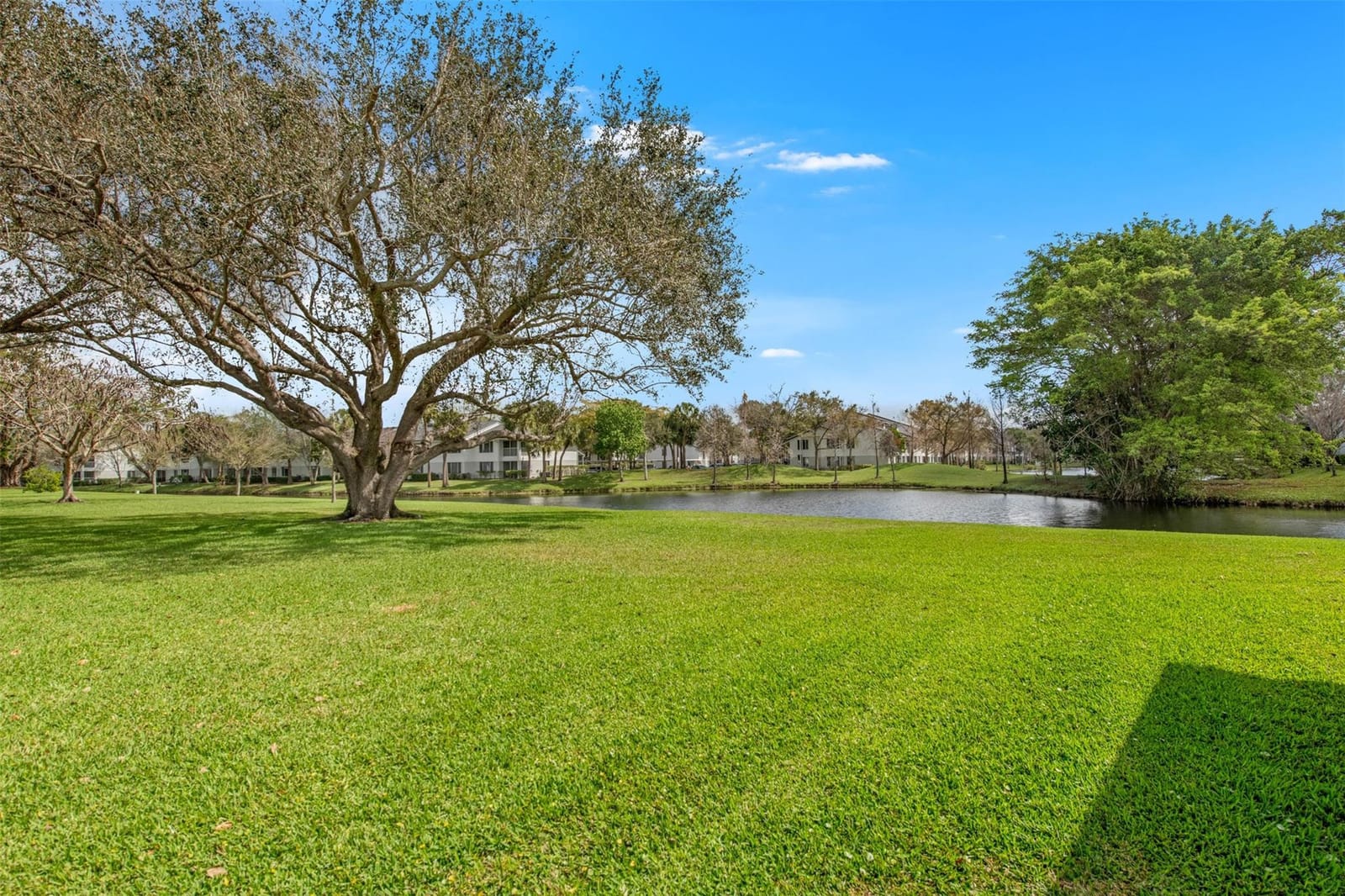 1156 NW 83rd Avenue B66, Plantation, FL 33322 photo 21