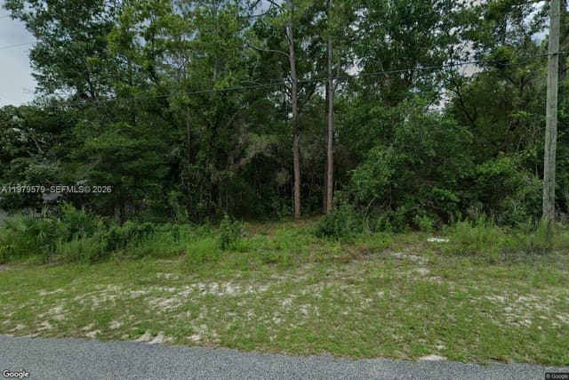10684 N Burbank Avenue, Citrus Springs, FL 34434
