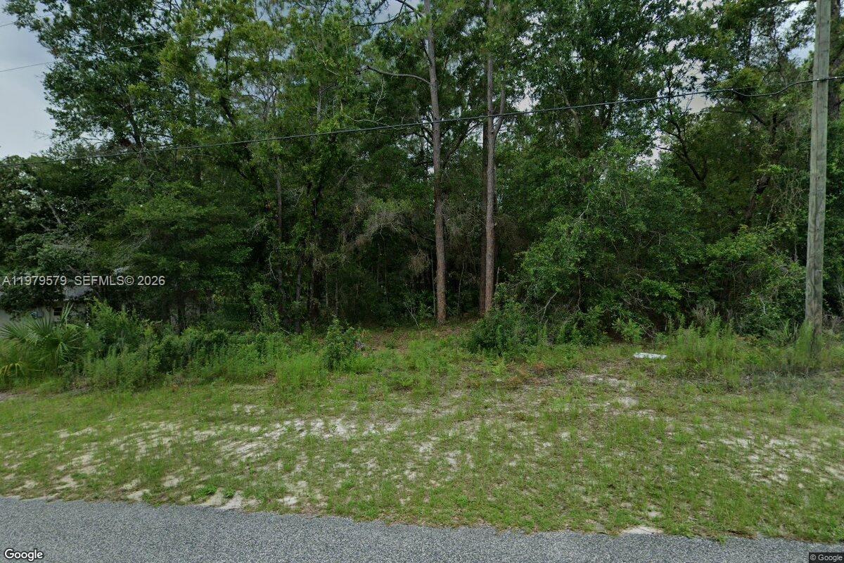 10684 N Burbank Avenue, Citrus Springs, FL 34434, Citrus Springs