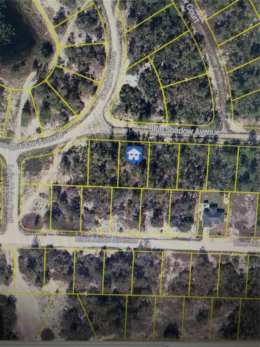 459 Ruba Avenue, Lake Placid, FL 33852, Lake Placid