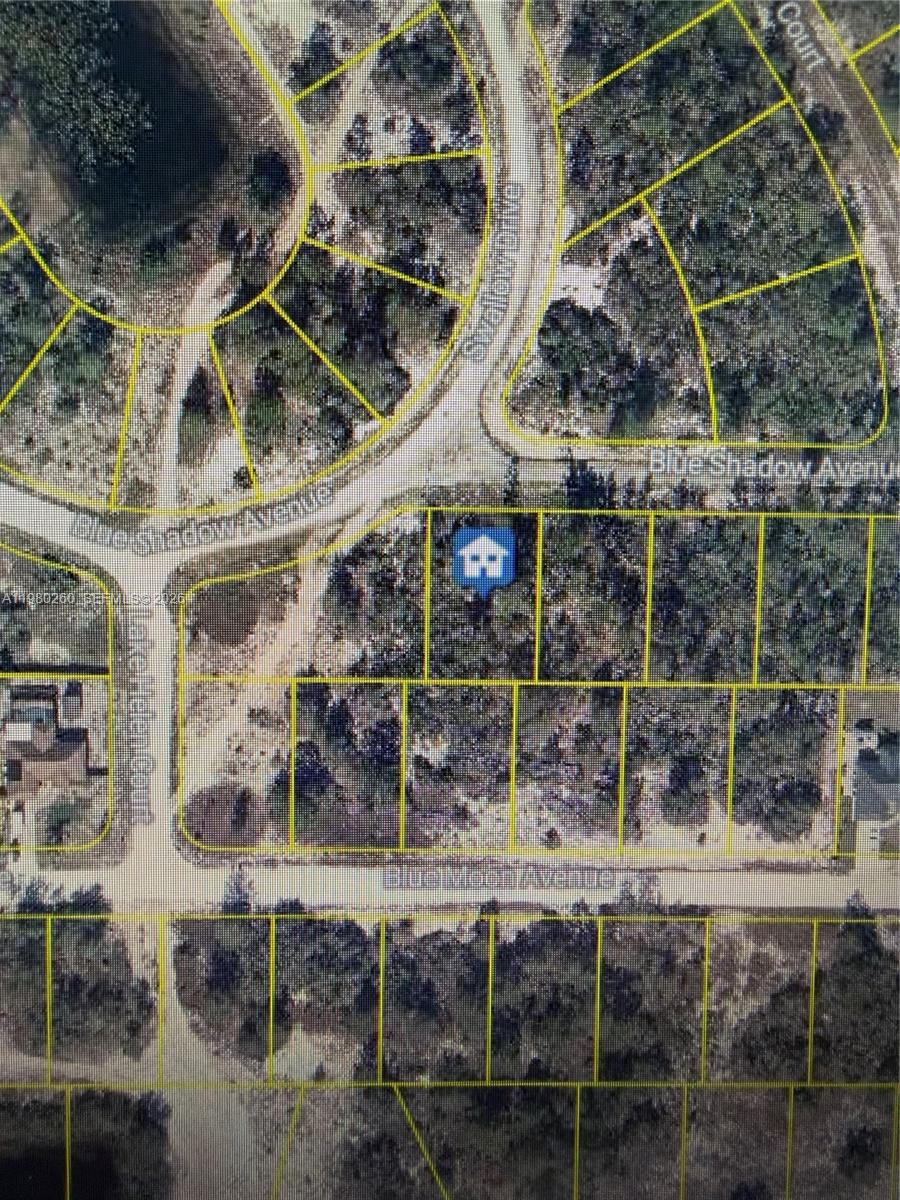 457 Ruba Avenue, Lake Placid, FL 33852, Lake Placid
