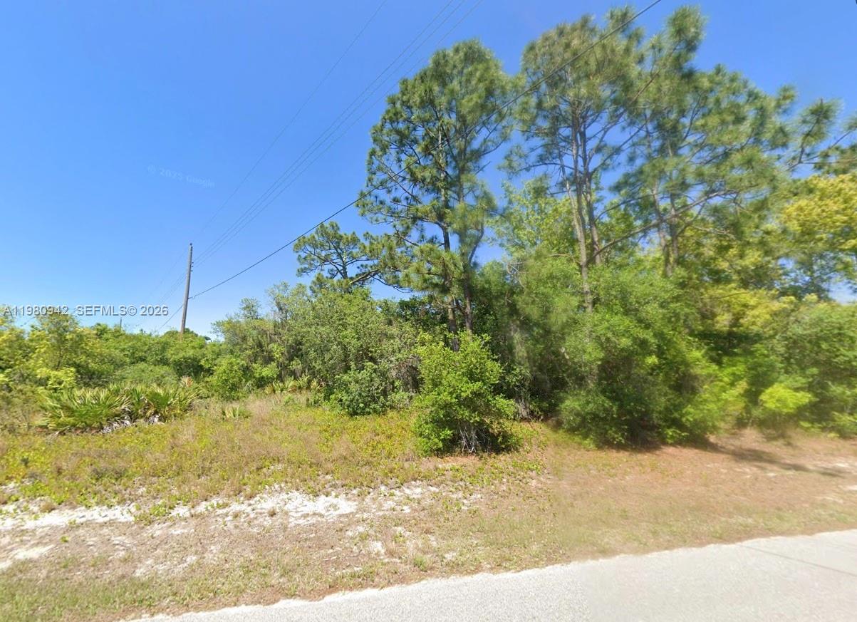 235 Deerwalk Avenue, Lake Placid, FL 33852, Lake Placid
