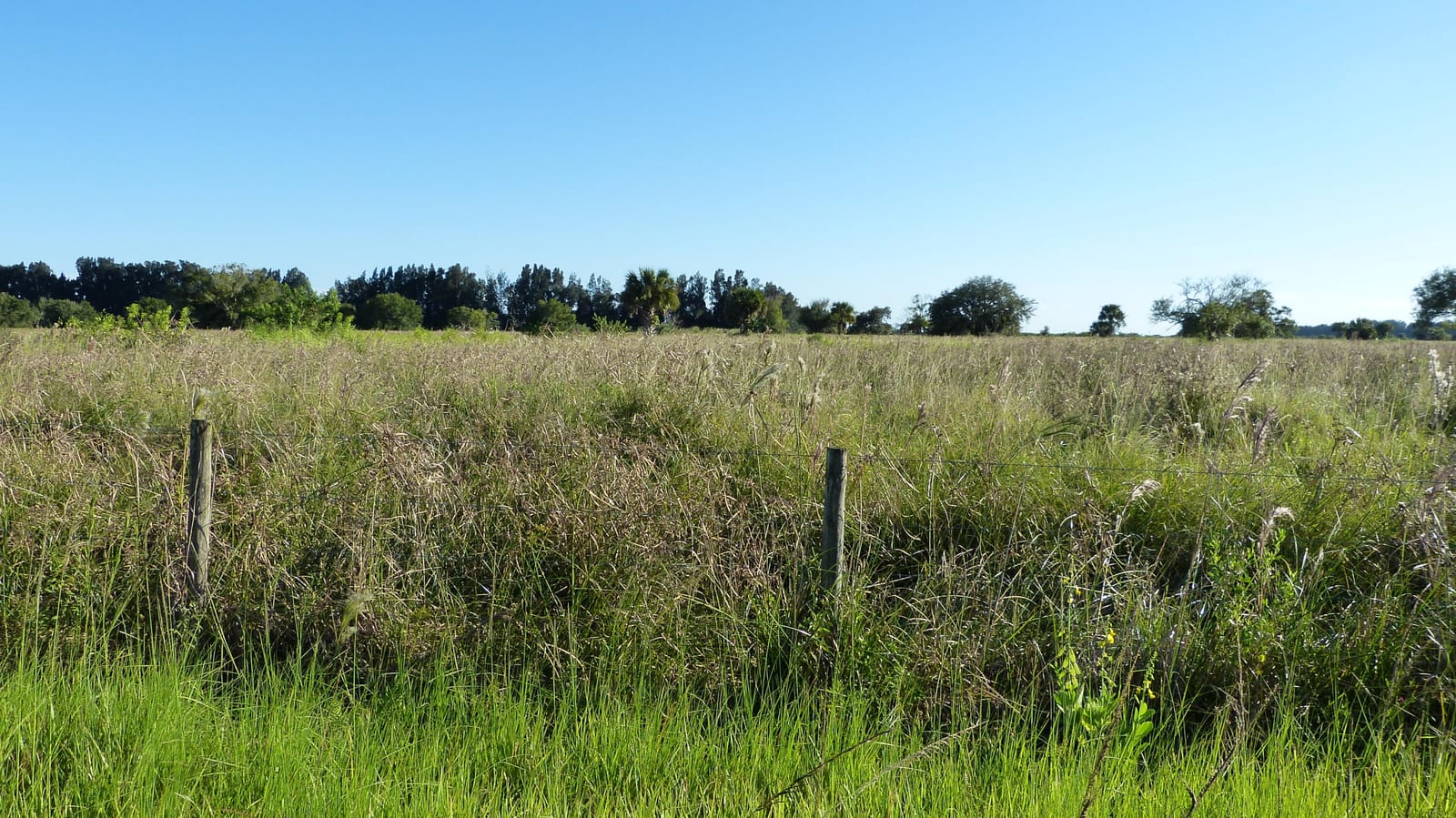 Tbd 3 Pineapple Lane — photo 3