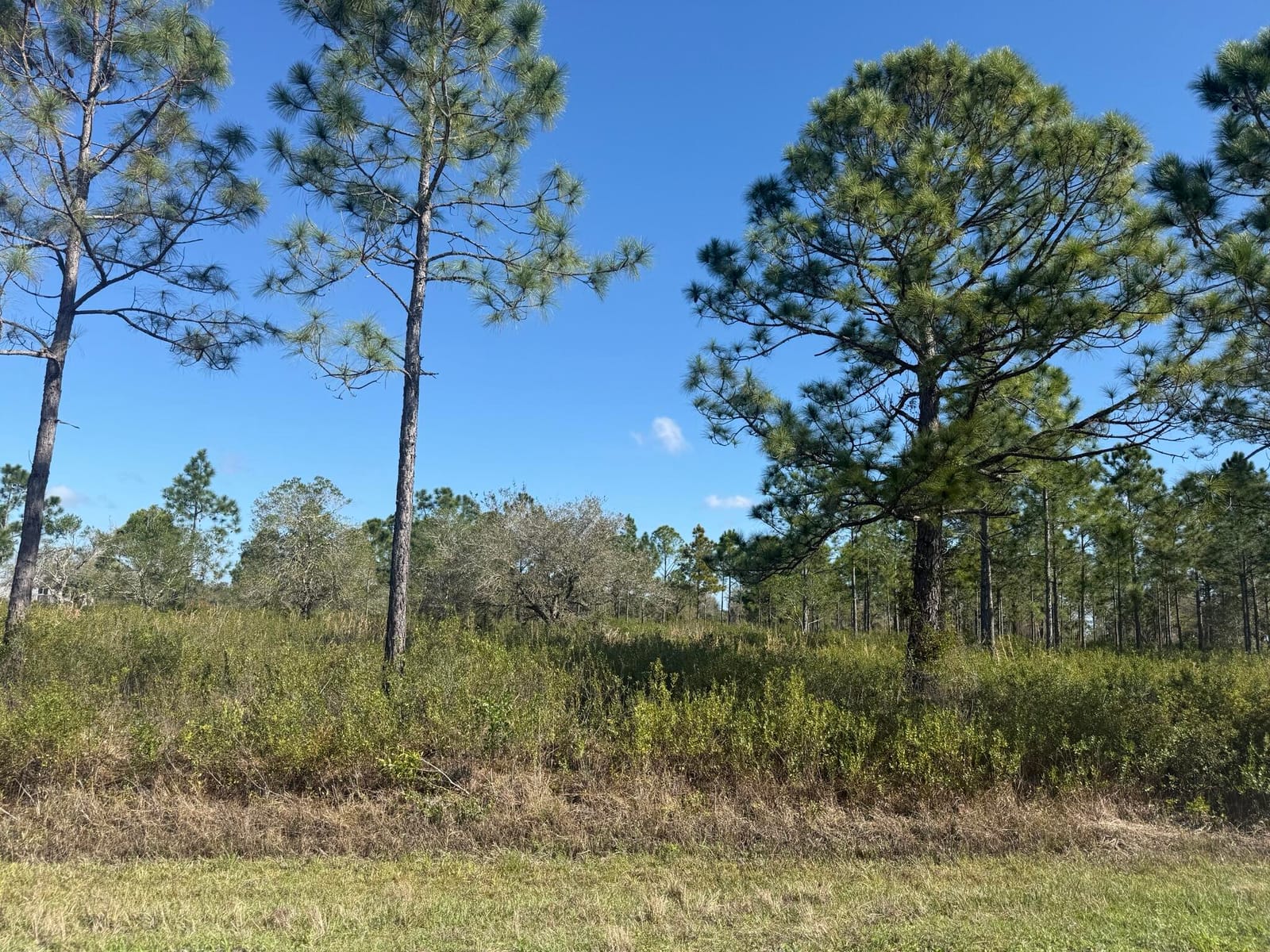 15942 NW 312th Street, Okeechobee, FL 34972