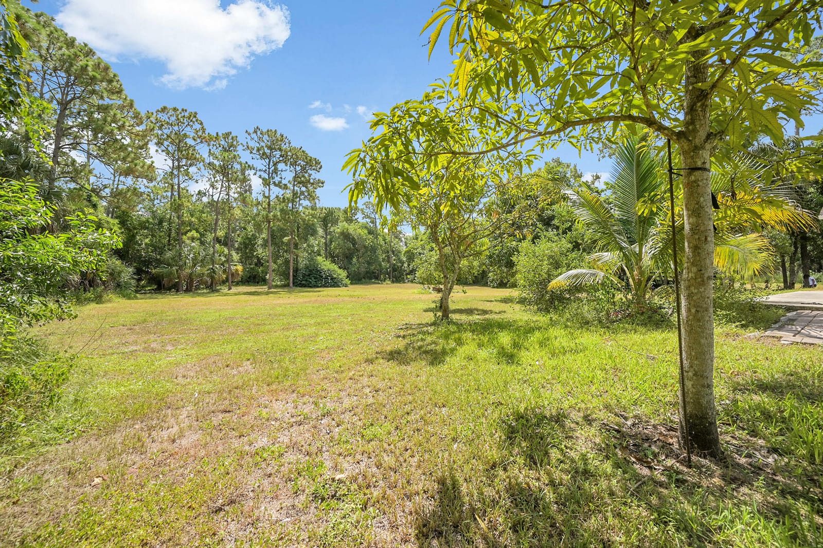 2376 Fawn Drive, Loxahatchee, FL 33470 photo 26