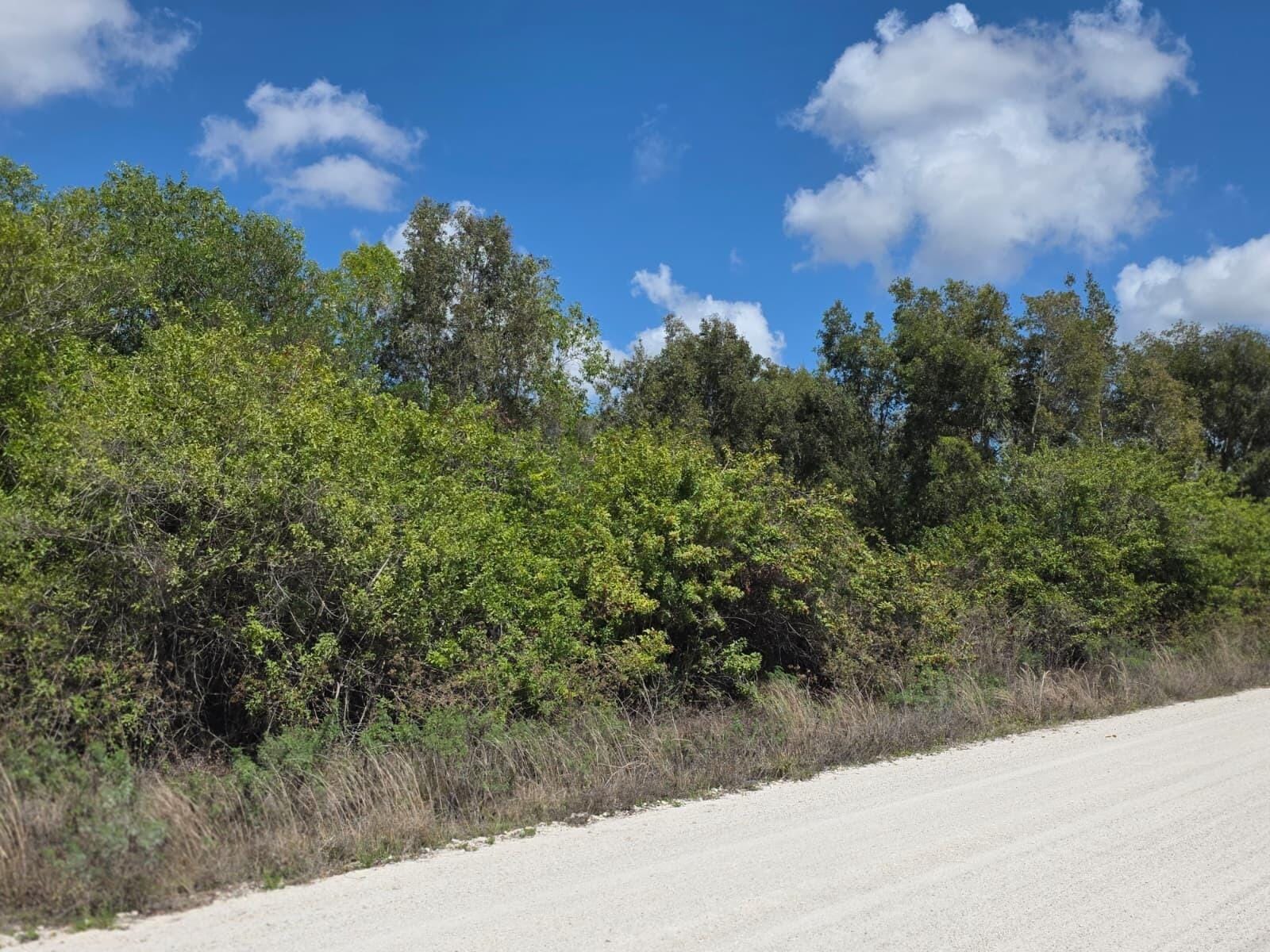 00000 86th Road N, West Palm Beach, FL 33412 photo 3