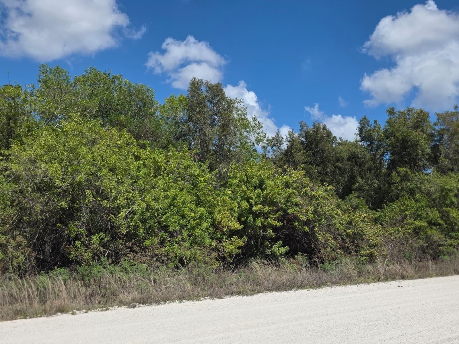 00000 86th Road N, West Palm Beach, FL 33412 photo 4