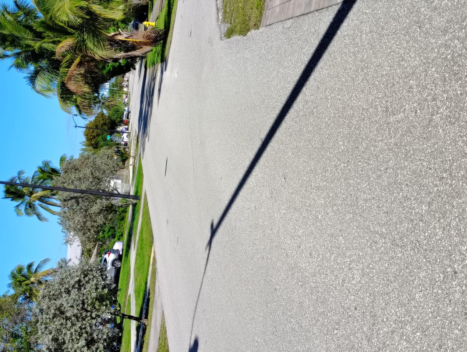 3031 NE 1st Avenue, Pompano Beach, FL 33064 photo 4