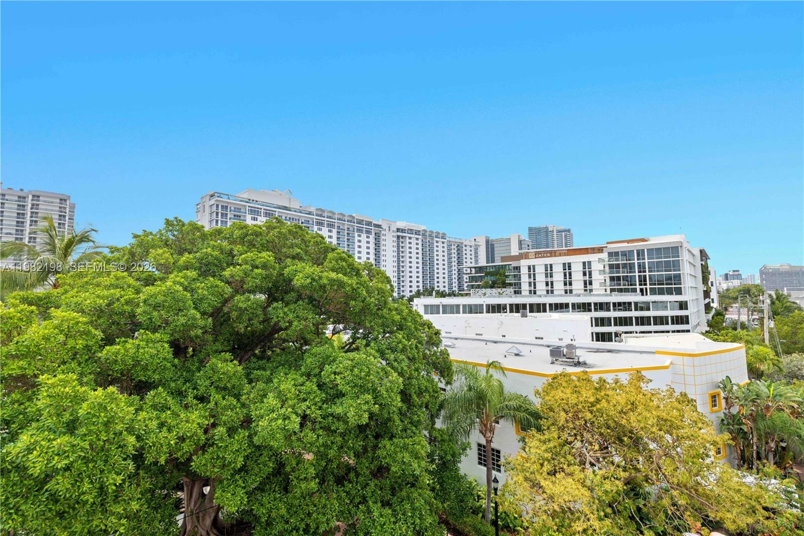255 W 24th Street 501, Miami Beach, FL 33140 photo 19
