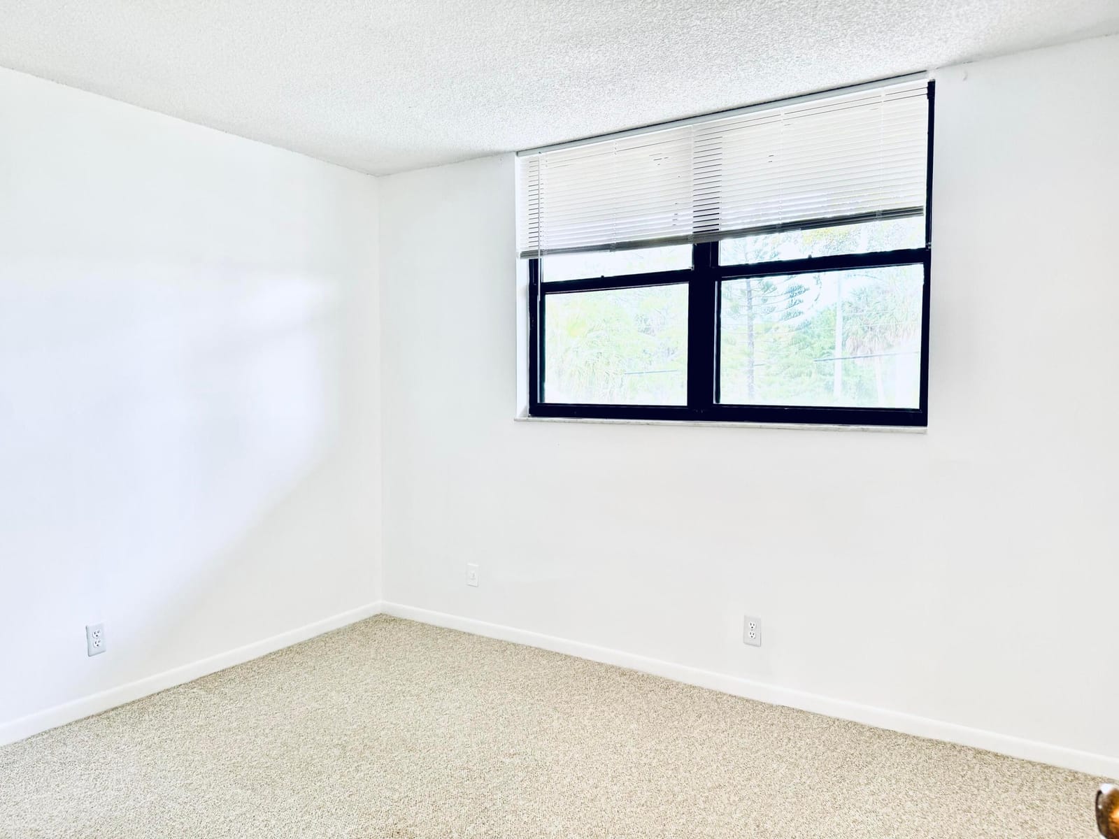 112 Lake Emerald Drive 204, Oakland Park, FL 33309 photo 16