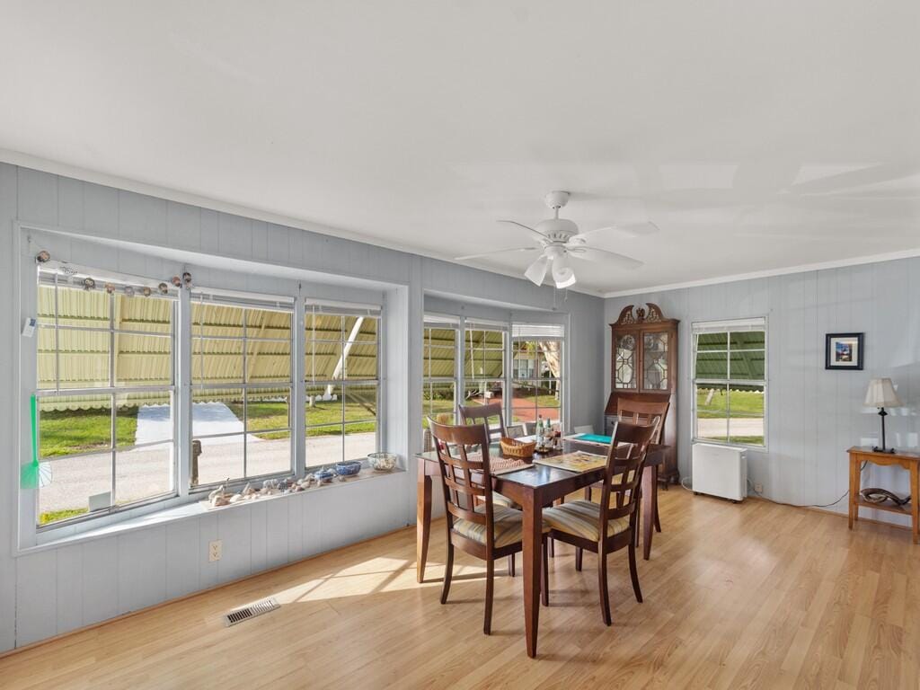 68 W Caribbean — photo 8