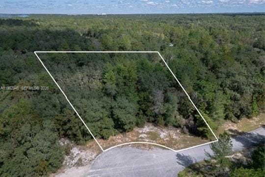 174 Street, Ocala, FL 34473 photo 5