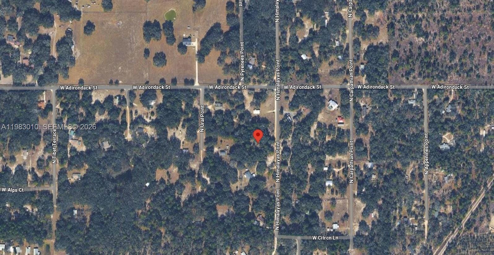 8668 N Himalayas Point, FL 34433 photo 2