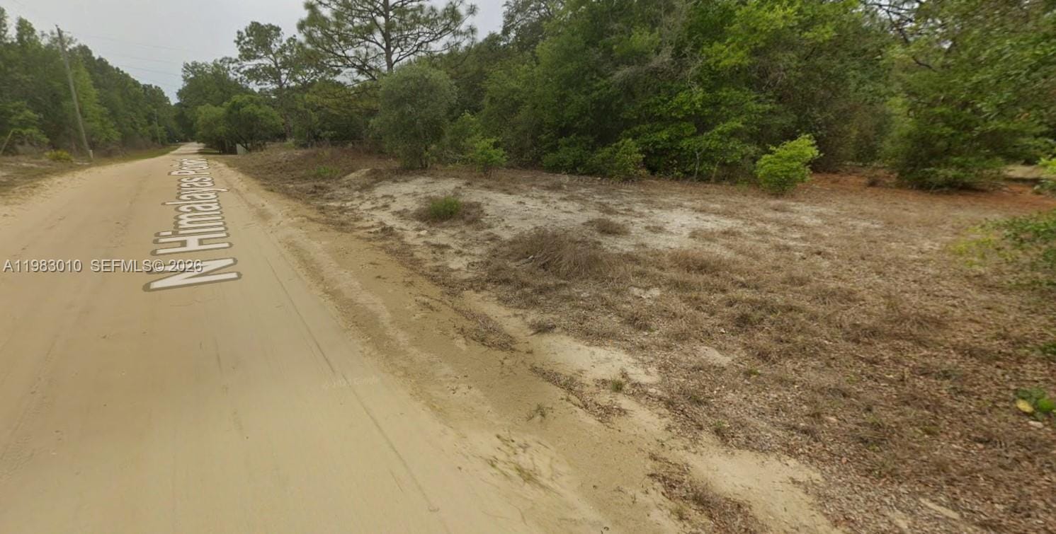 8668 N Himalayas Point, FL 34433 photo 3