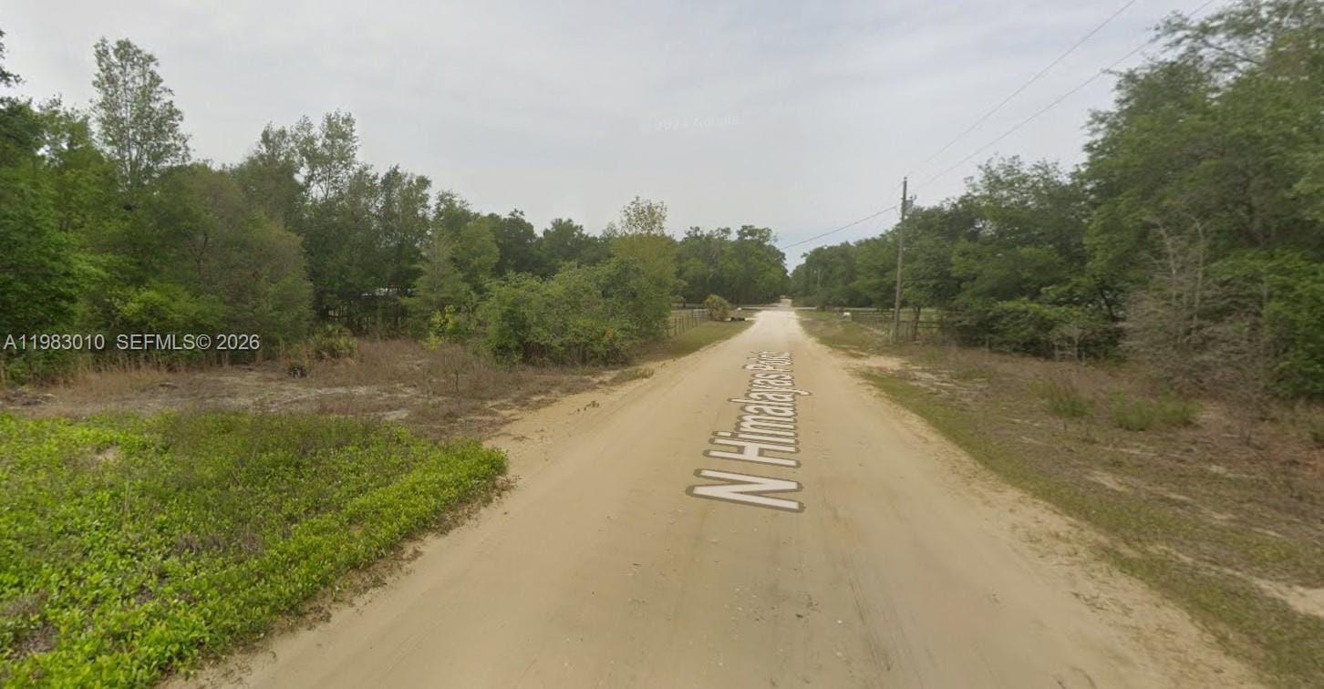 8668 N Himalayas Point, FL 34433 photo 4