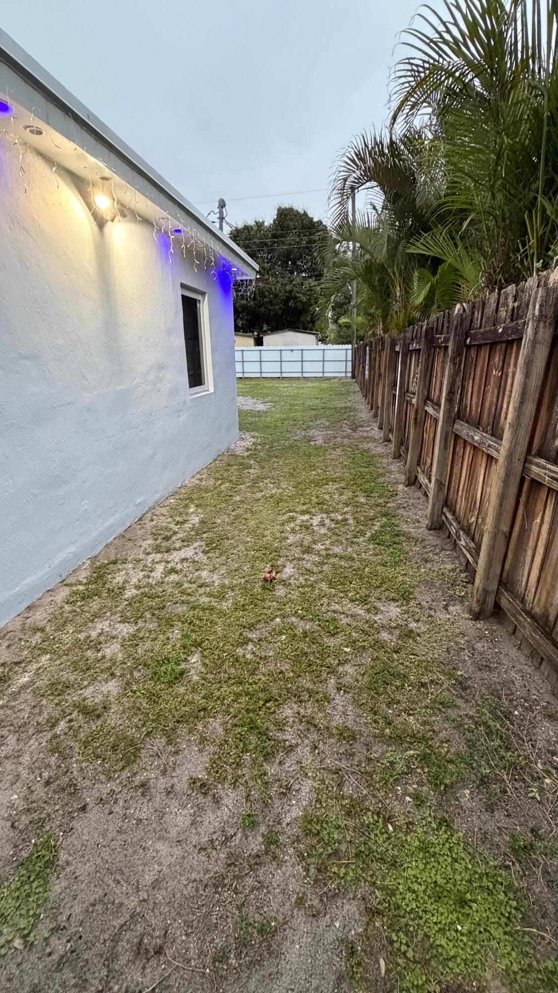 6305 Garfield Street, Hollywood, FL 33024 photo 14