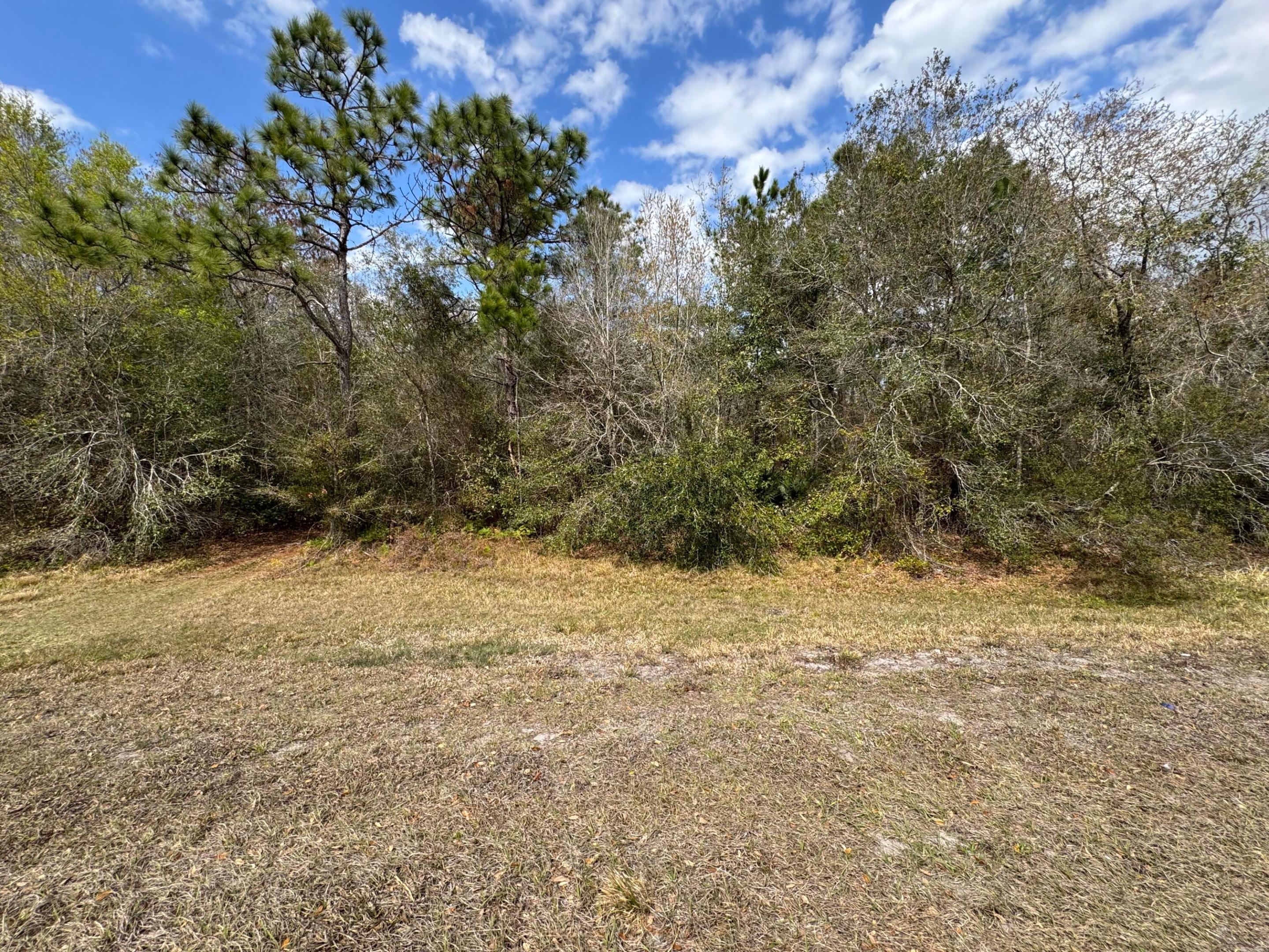 000 Canoe Creek Road, FL 34739, Kenansville