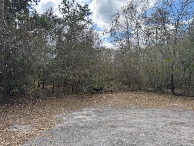 000 1st Street, FL 34739