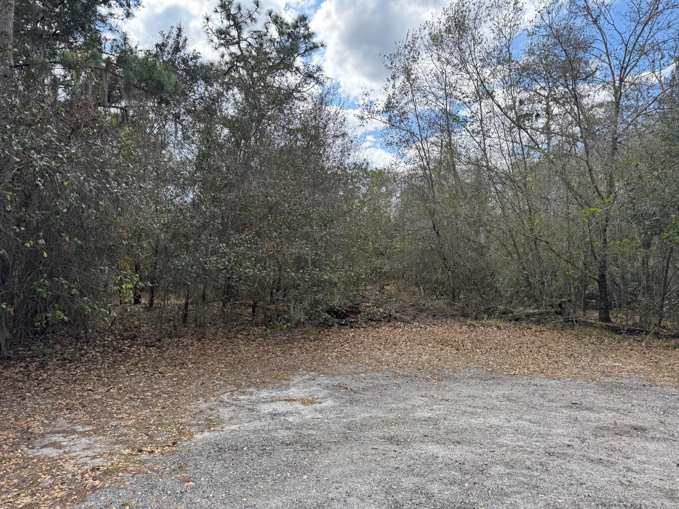 000 1st Street, FL 34739, Kenansville