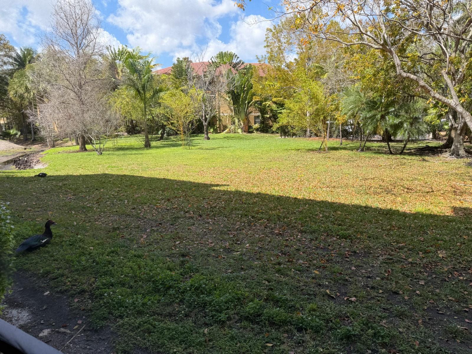 711 N Pine Island Road 104, Plantation, FL 33324 photo 9