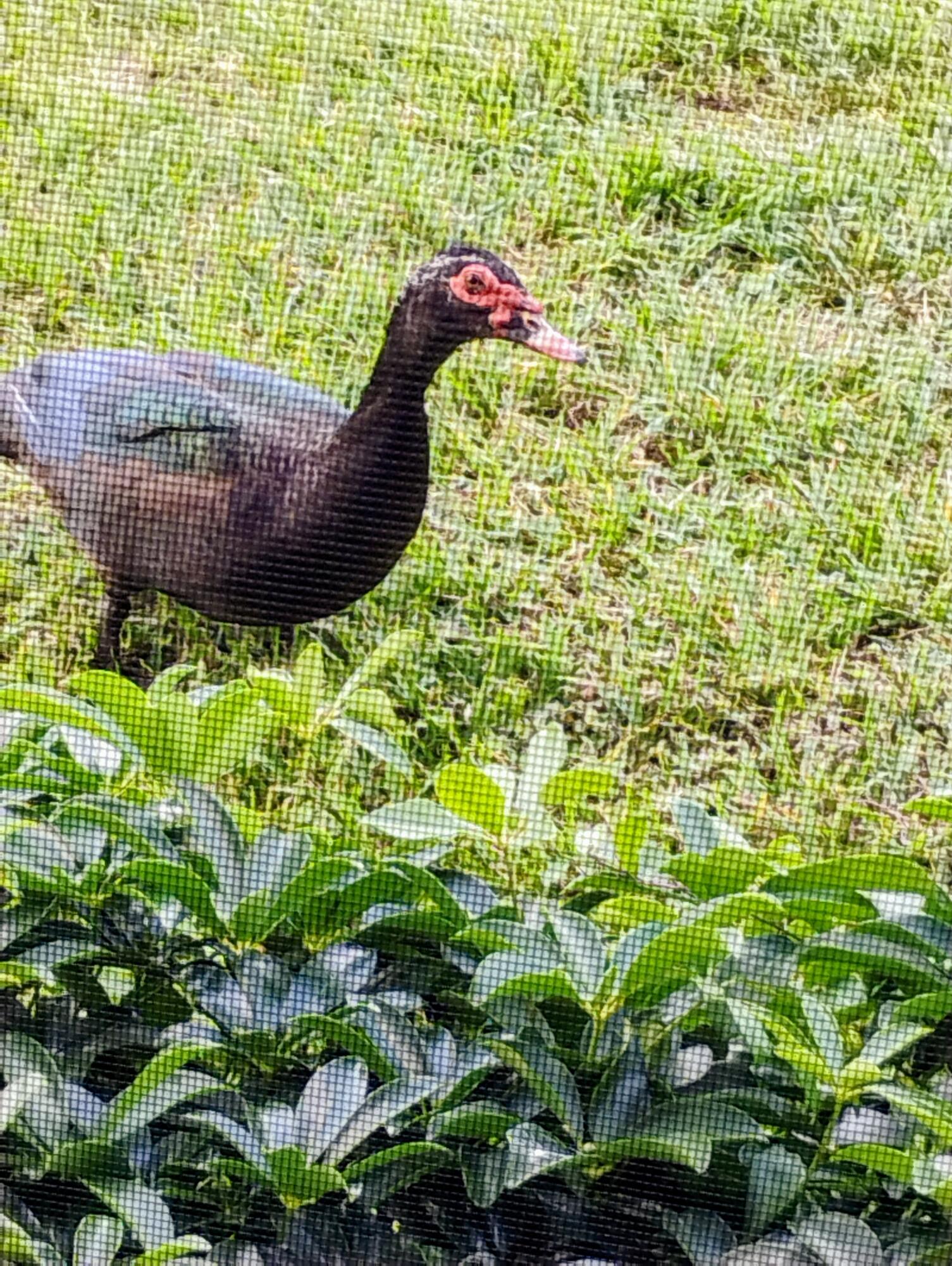 192 Monaco D, Delray Beach, FL 33446 photo 8
