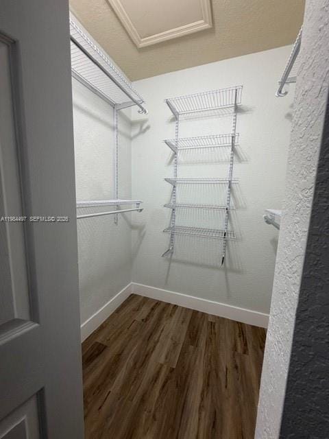 11601 NW 89th Street 202, Doral, FL 33178 photo 16