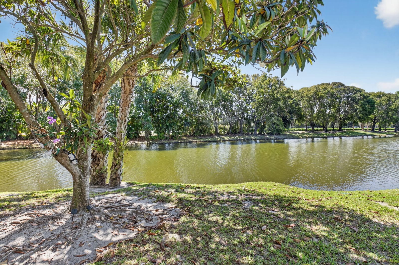 3707 Bridgewood Drive, Boca Raton, FL 33434 photo 24
