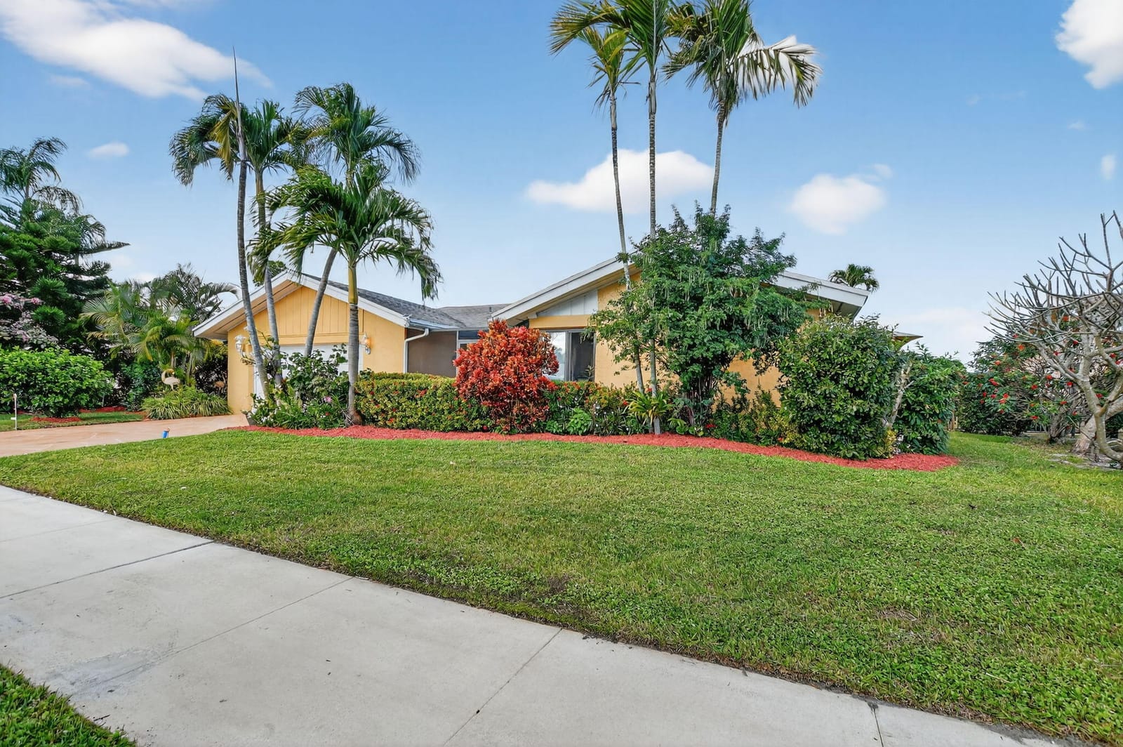 4205 Birchwood Drive — photo 9
