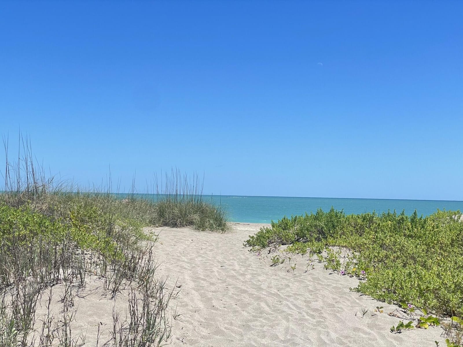Lot 12 Coral Circle — photo 11