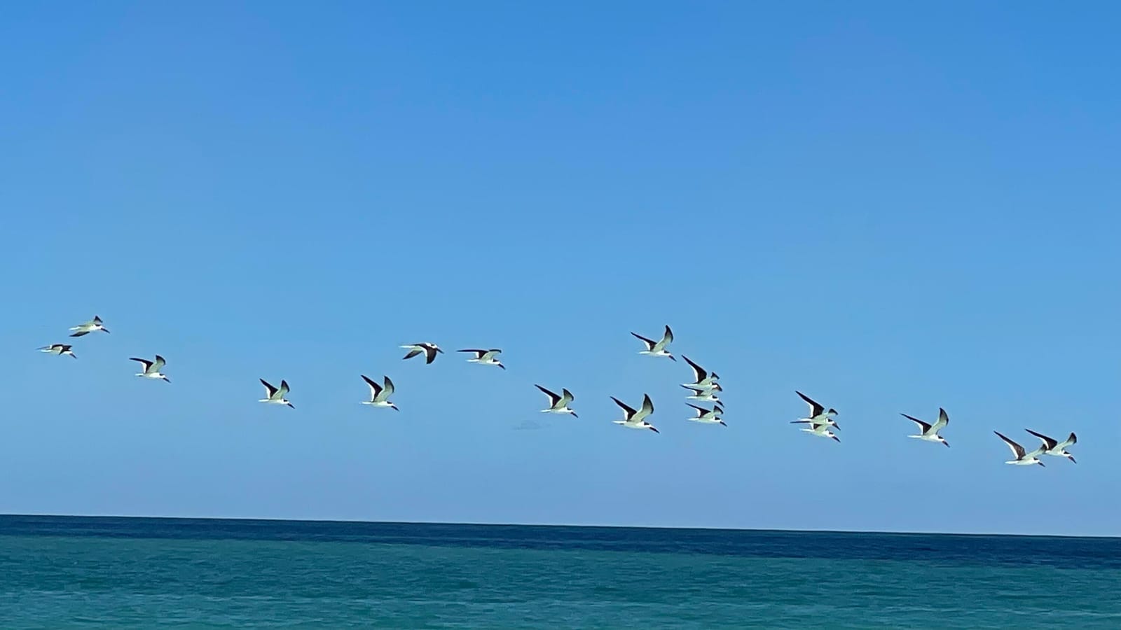 Lot 12 Coral Circle, Hutchinson Island, FL 34949 photo 13