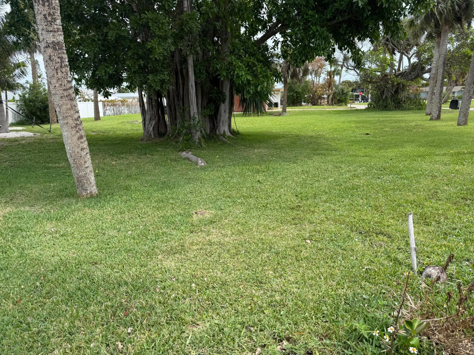 Lot 12 Coral Circle — photo 6