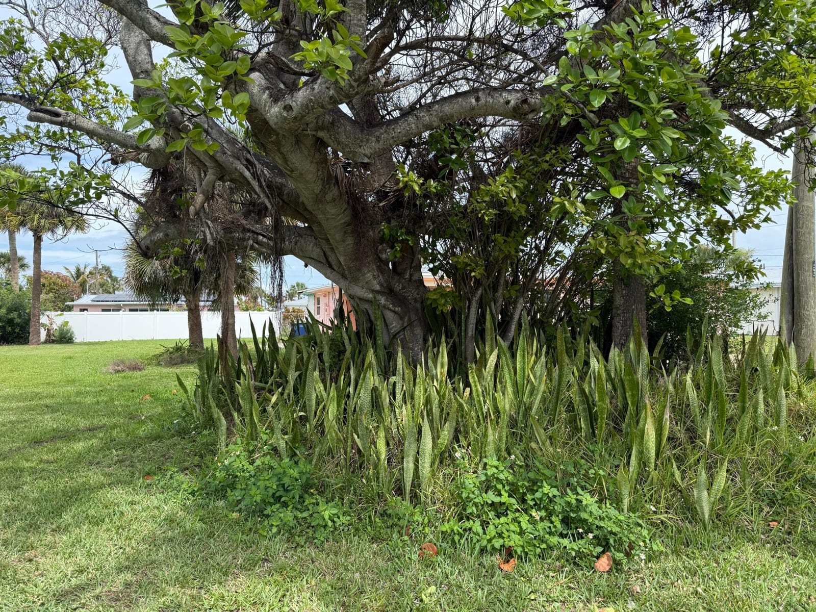 Lot 12 Coral Circle — photo 8