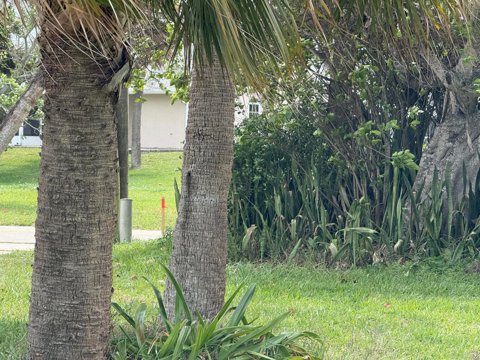 Lot 12 Coral Circle — photo 9