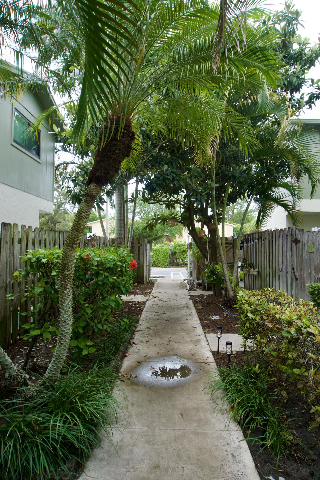 4320 Lilac Street 2c, Palm Beach Gardens, FL 33410, Palm Beach Gardens