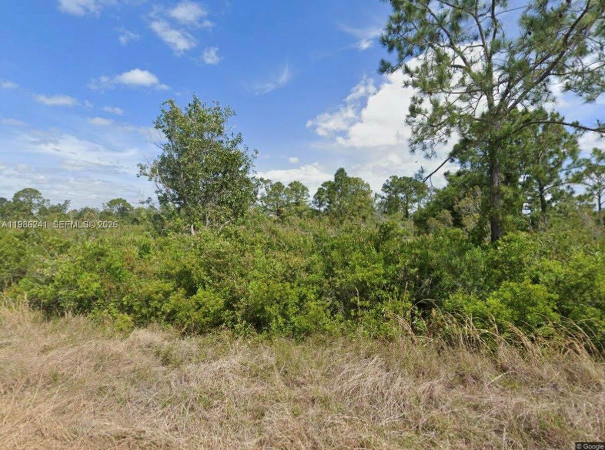 1081 Beaver Street, Lake Placid, FL 33852, Lake Placid