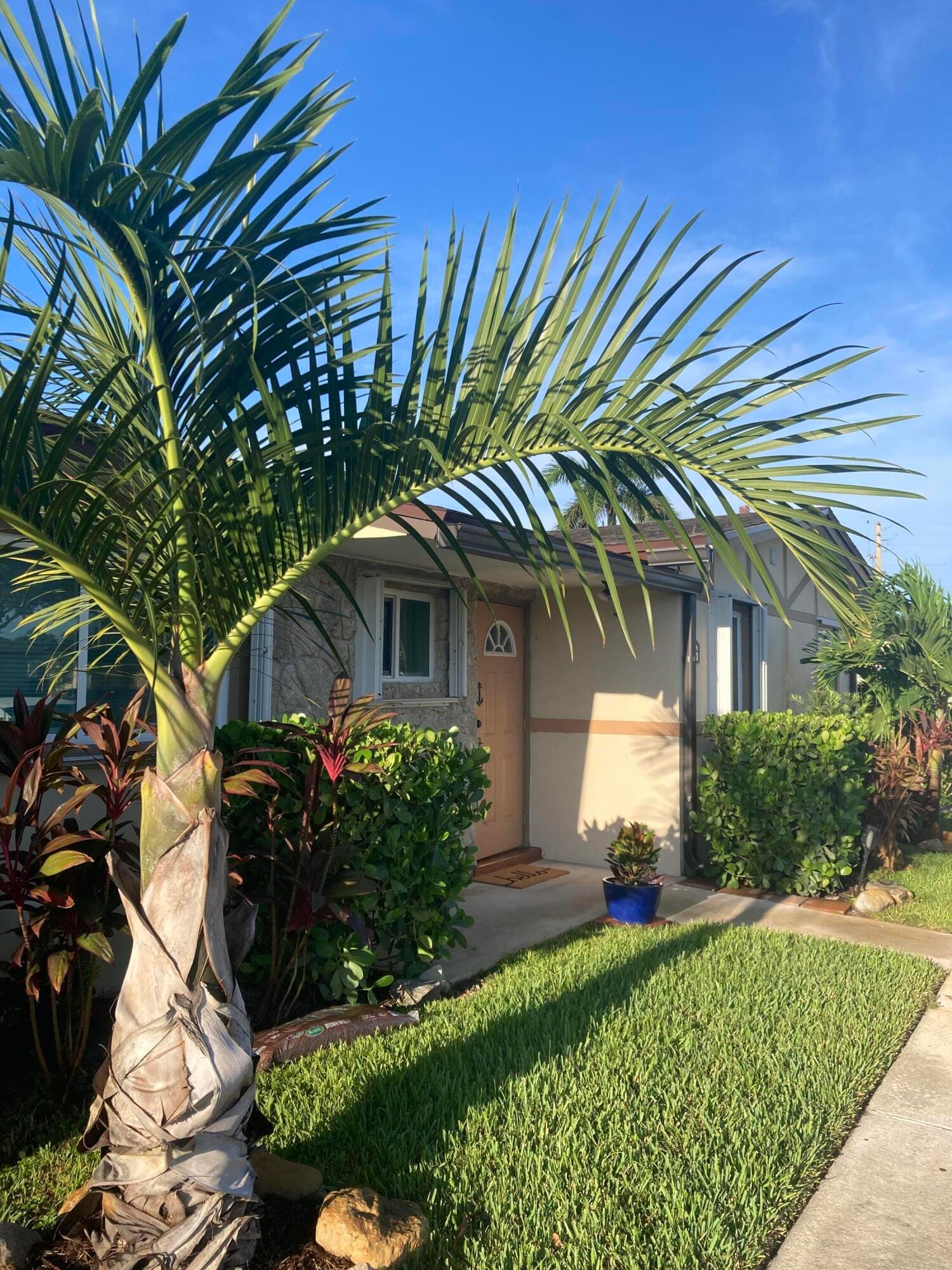 2847 Ashley Drive W G, West Palm Beach, FL 33415 photo 2